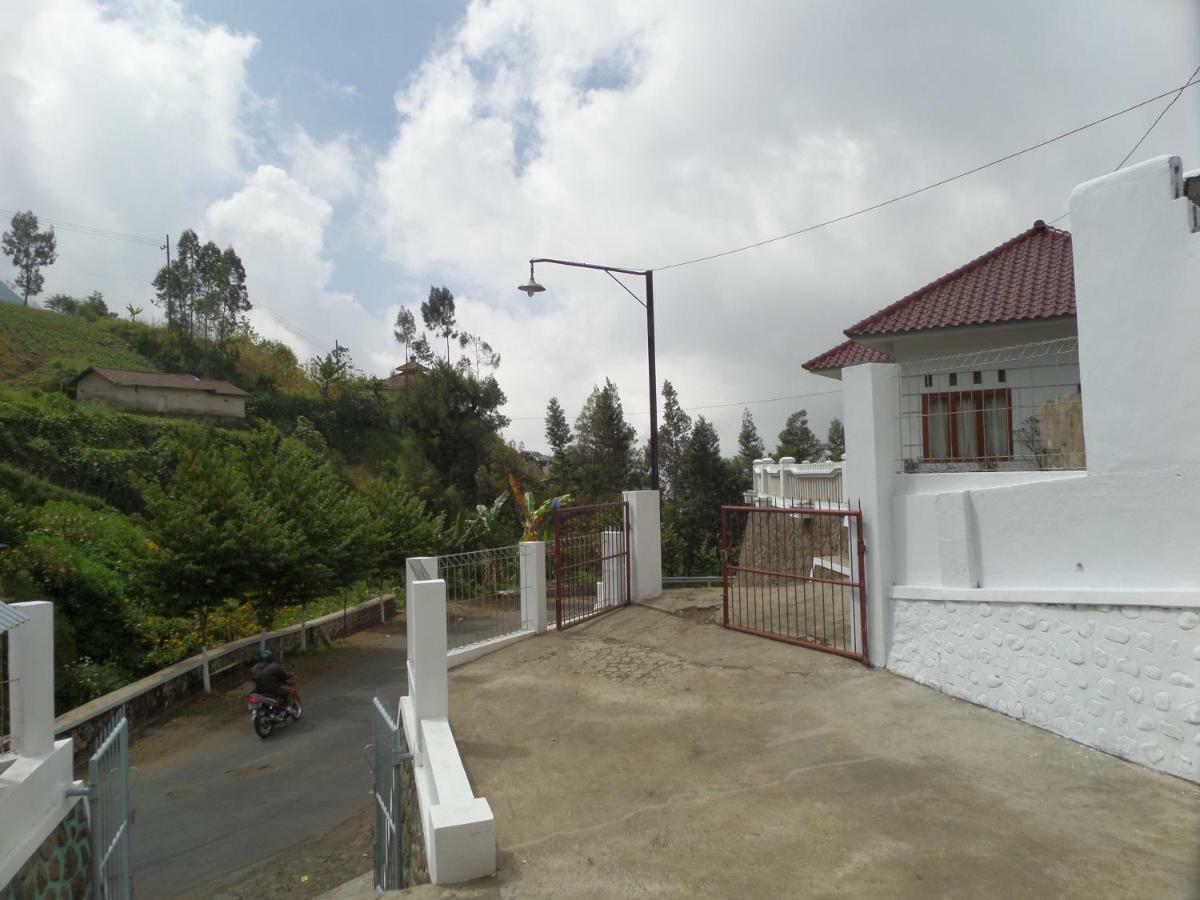 Savana Guesthouse Μπρόμο Εξωτερικό φωτογραφία