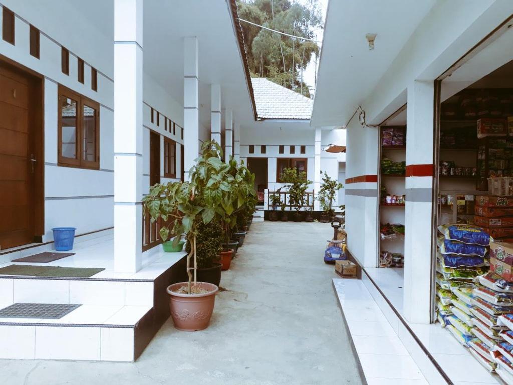 Savana Guesthouse Μπρόμο Εξωτερικό φωτογραφία